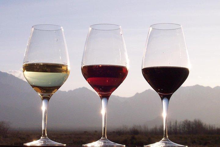 Douro Valley Private Wine and Food Tour From Porto