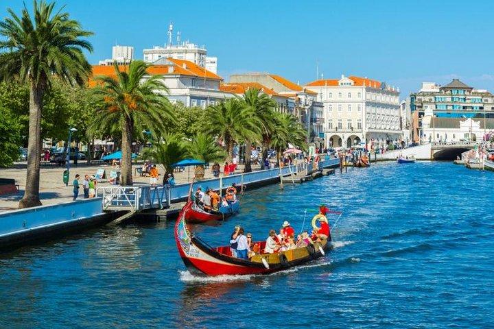 Explore Porto & Aveiro within Riverboat Cruises - Private Full Day Tour from Lisbon with Lunch