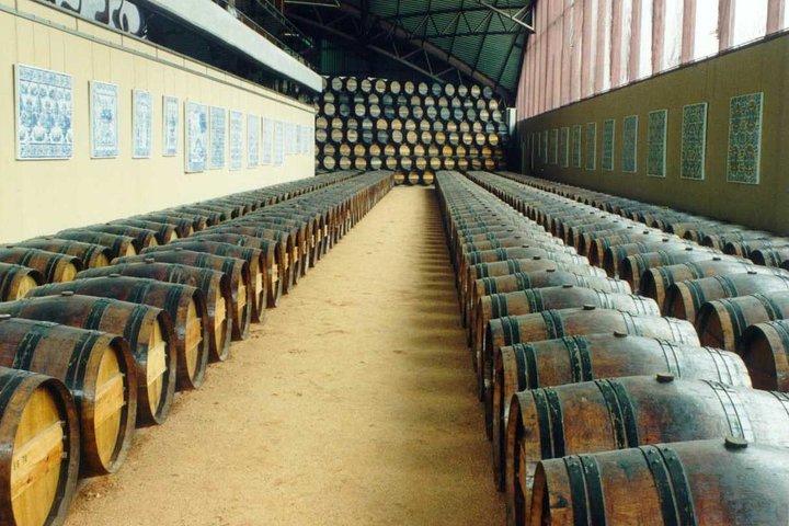 Wine Tour Discover the history and flavors of the best winery's of Lisbon Region