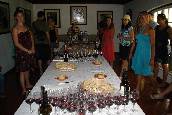 Wine Tour Discover the history and flavors of the best winery's of Lisbon Region