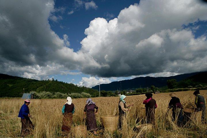 5 Days- Bhutan Cultural Tour