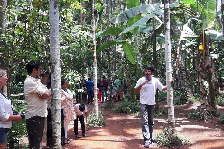 Old Goa Churches, Temples & Spice Plantation With "Goan" Lunch