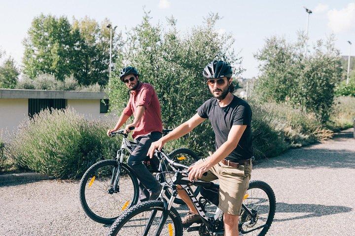 Private E-bike Tour in Chianti from Florence
