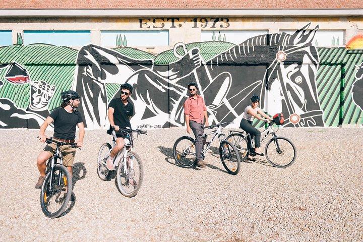 Private E-bike Tour in Chianti from Florence
