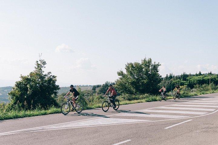 Private E-bike Tour in Chianti from Florence