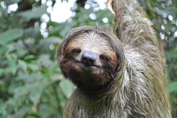 La Fortuna: Peñas Blancas River Wildlife Safari Float Tour