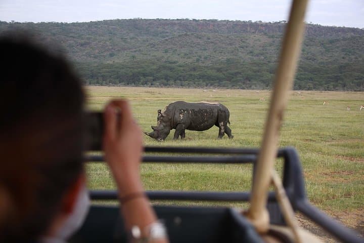 1-Day Lake Nakuru Tour