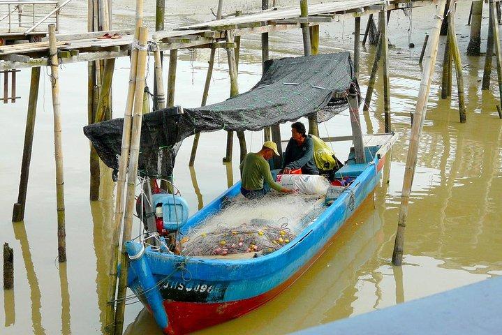 Silver Leaf Monkeys and Firefly Tour with Boat Ride and Seafood Dinner