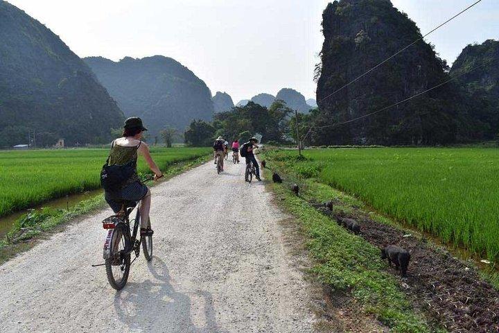 2 Day Tour Hoa Lu - Trang An - Mua Cave - Bich Dong - Cuc Phuong