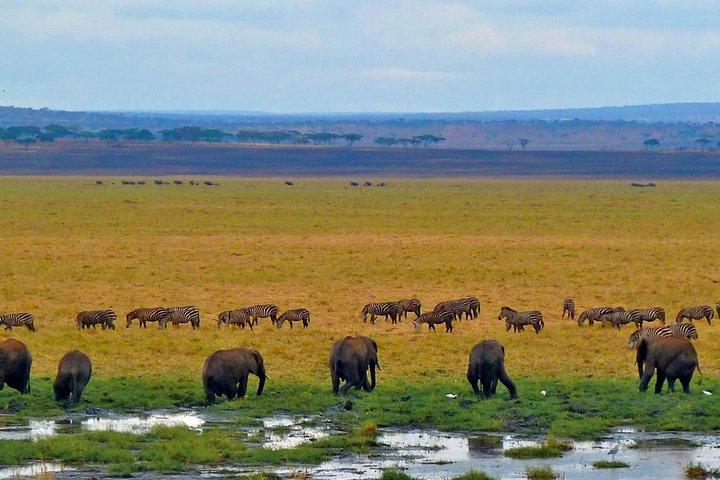 Tarangire National Park Day Tour