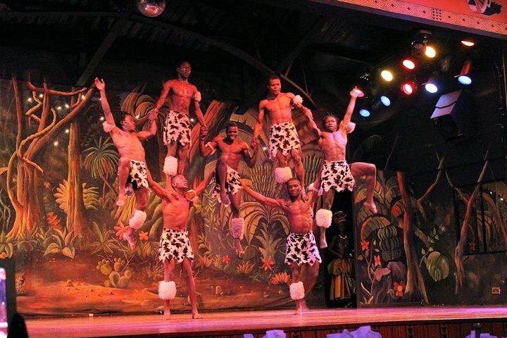 Safari Park Dinner with Safari Cats Dance Show