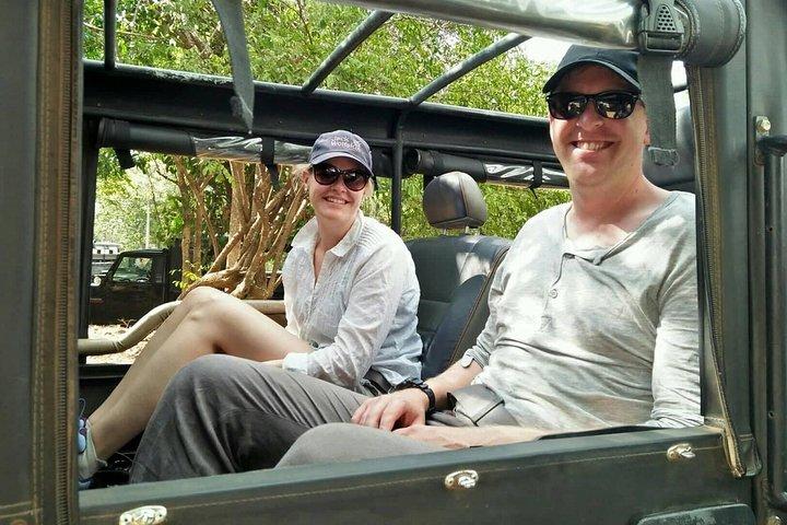 Private Dambulla Sigiriya Tour from Kandy with Lunch