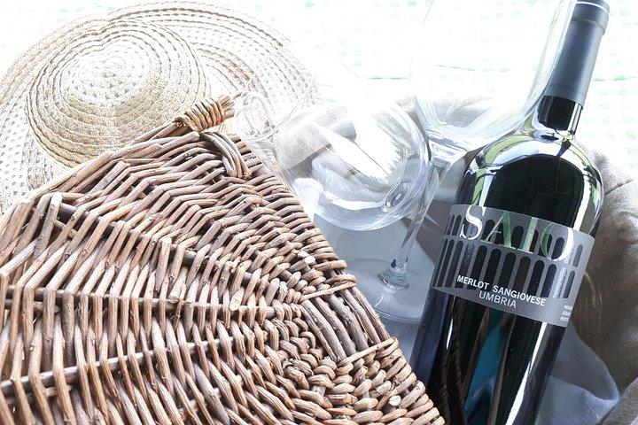 Pic nic Deluxe Assisi for 2 and wine tasting 5 wines