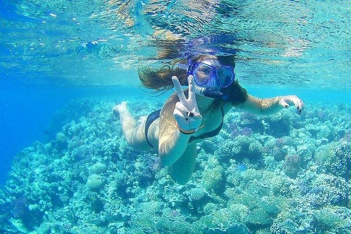 Hurghada Grand Aquarium Red Sea in glass