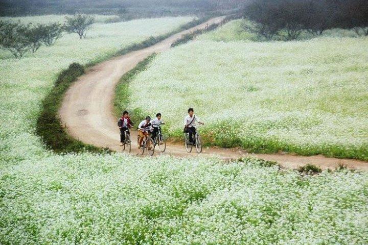 Mai Chau Full Day Tour from Hanoi