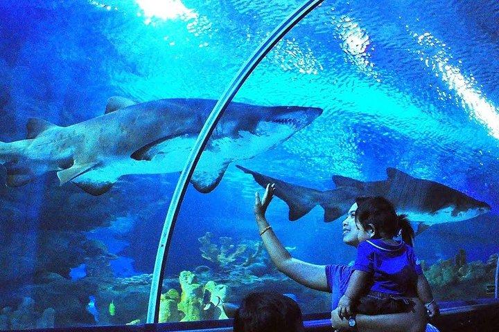 Aquaria KLCC Admission with Kuala Lumpur City Famous Landmarks