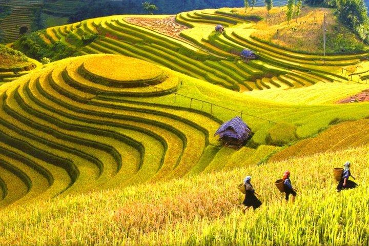 3-day Sapa trekking and Bac Ha market on Sunday