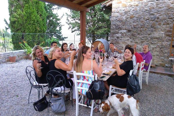 From Florence: Classic Chianti Villages and Wine Roads by Minivan