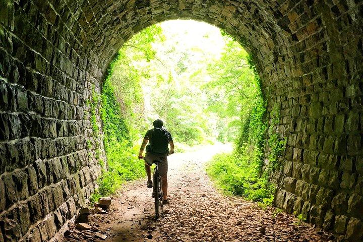 E-bike Tour: Istrian Countryside & Parenzana