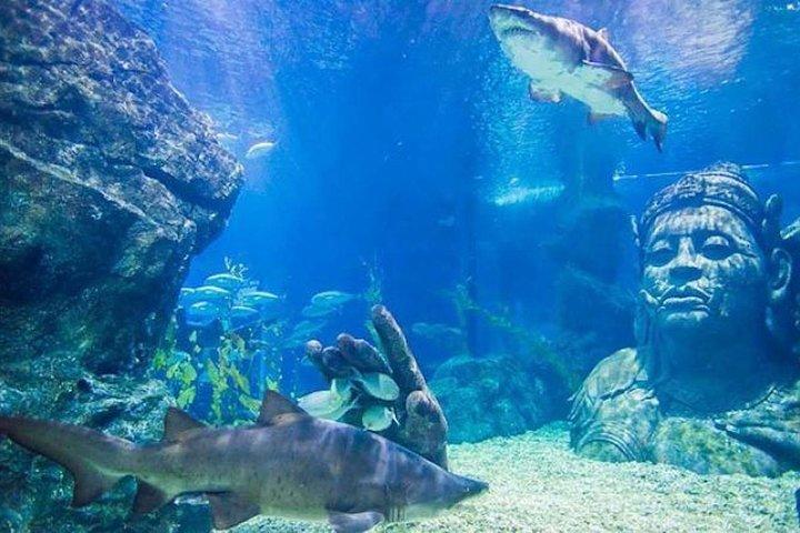Sealife Bangkok and Madame Tussauds Bangkok for Foreigner