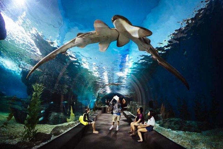 SEA LIFE Ocean World at Bangkok Admission Ticket