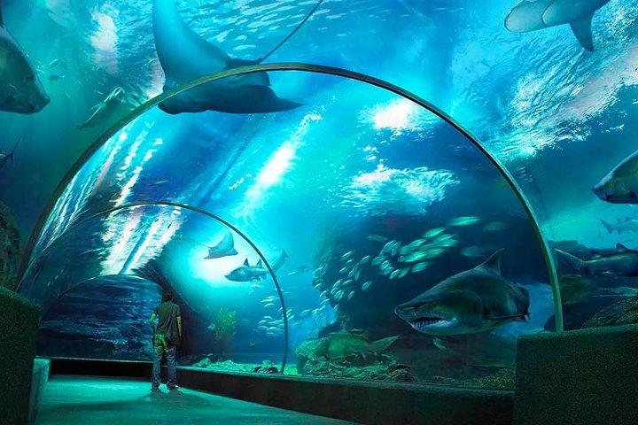 Sealife Bangkok and Madame Tussauds Bangkok for Foreigner