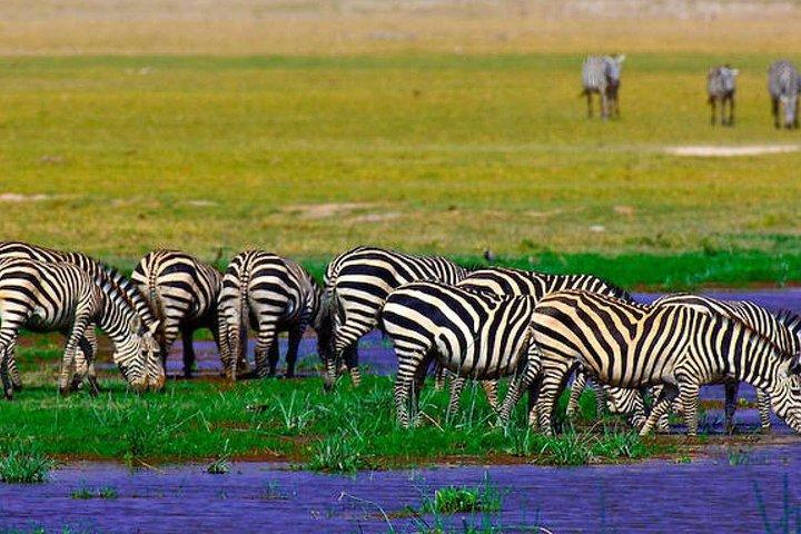 Overnight tour to Amboseli National park