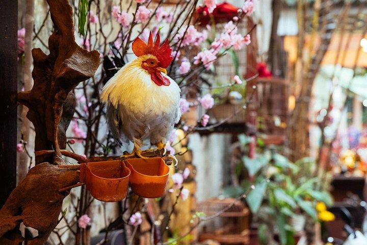 Highlights & Hidden Gems With Locals: Best of Hanoi Private Tour