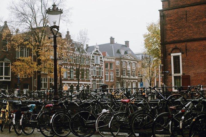 Amsterdam City Center Guided Walking Tour Semi-Private 12ppl Max