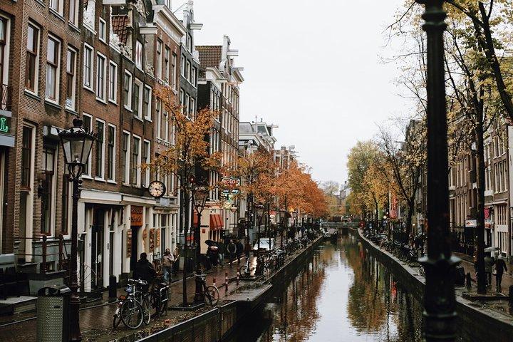 Amsterdam City Center Guided Walking Tour Semi-Private 12ppl Max