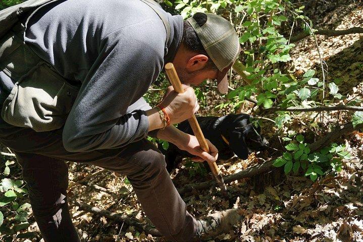Private Truffle Hunting in Chianti from Florence