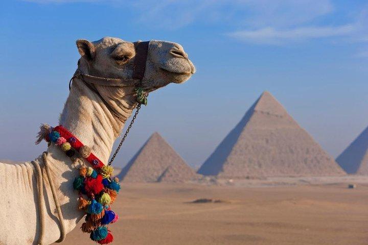 Nile River Dinner Cruise in Cairo