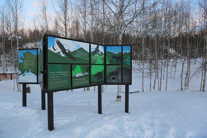 Northern Lights and Arctic Circle Trip from Fairbanks