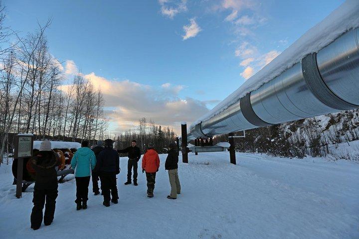 Northern Lights and Arctic Circle Trip from Fairbanks