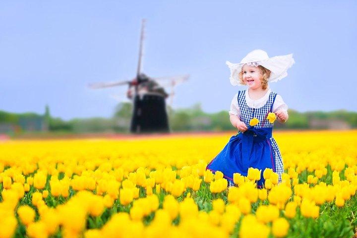 Delft and Keukenhof Gardens Tour from Brussels