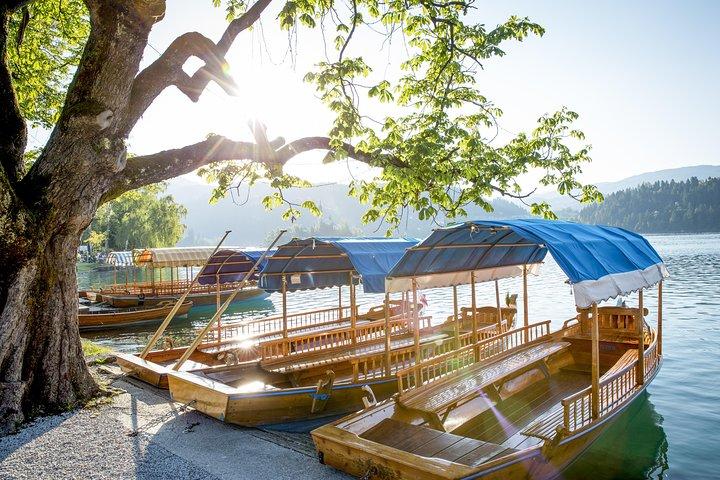 Lake Bled half day tour from Ljubljana