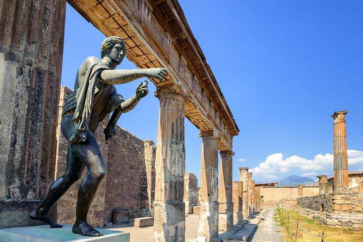 Pompeii & Herculaneum - Skip the line from Sorrento