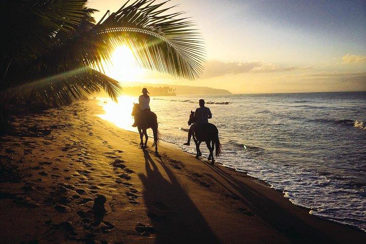 Private Sunset Horseback Riding in punta cana beach