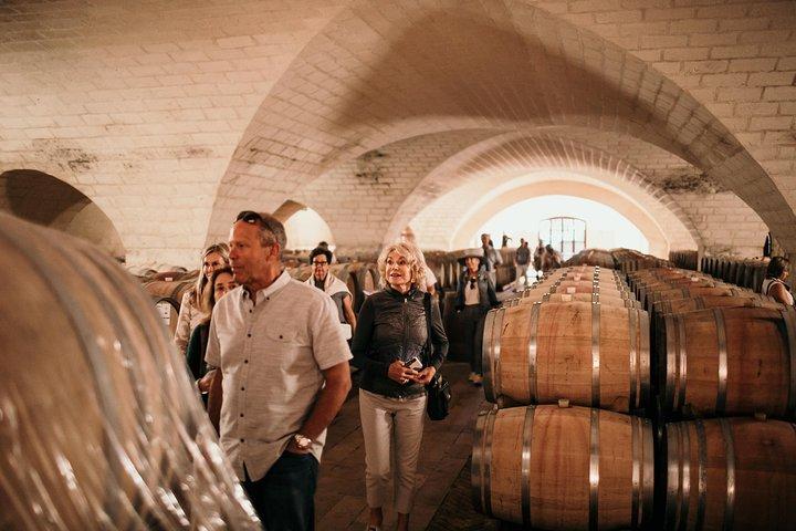 Barolo & Barbaresco Wine Tour with a Sommelier