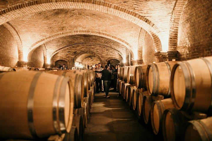 Barolo & Barbaresco Wine Tour with a Sommelier