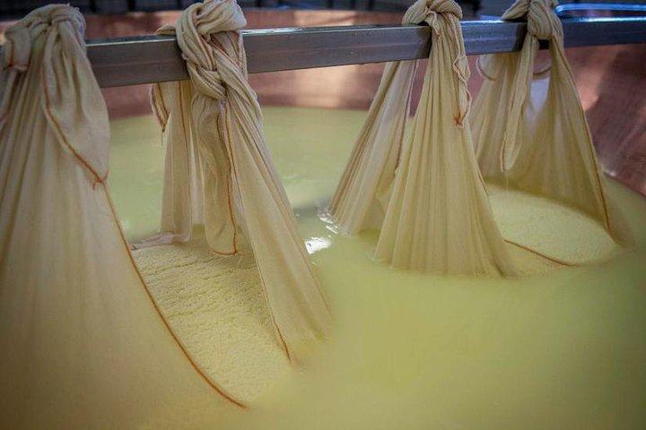 Parmigiano Reggiano Cheese Factory Tour & Tasting Experience