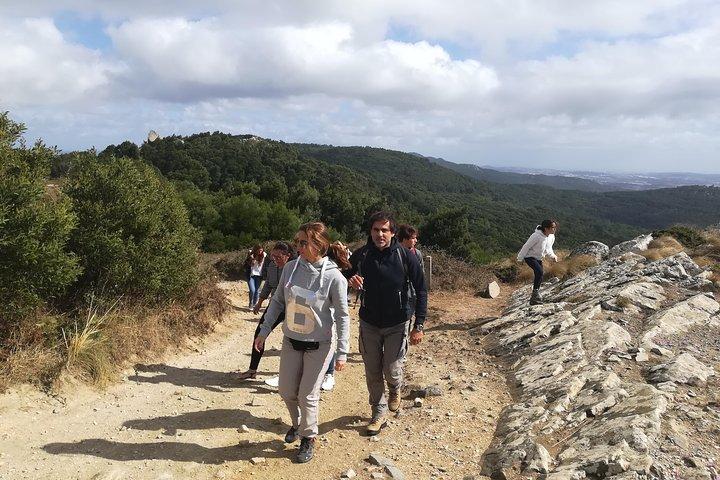 Private Half Day Hiking in Sintra-Cascais Natural Park