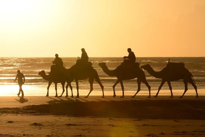 Camel Ride on the Beach of Essaouria