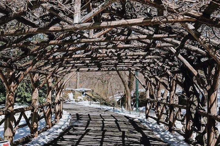 Central Park New York - Exclusive Guided Walking Tour