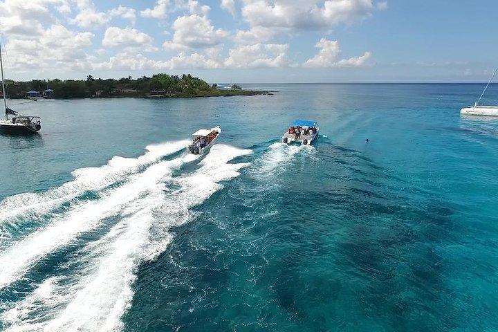 Saona Island Excursion by Catamaran and Speedboat