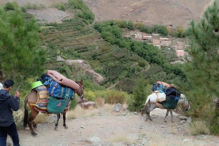 3 Day Trek in the Atlas Mountains and Berber Villages from Marrakech