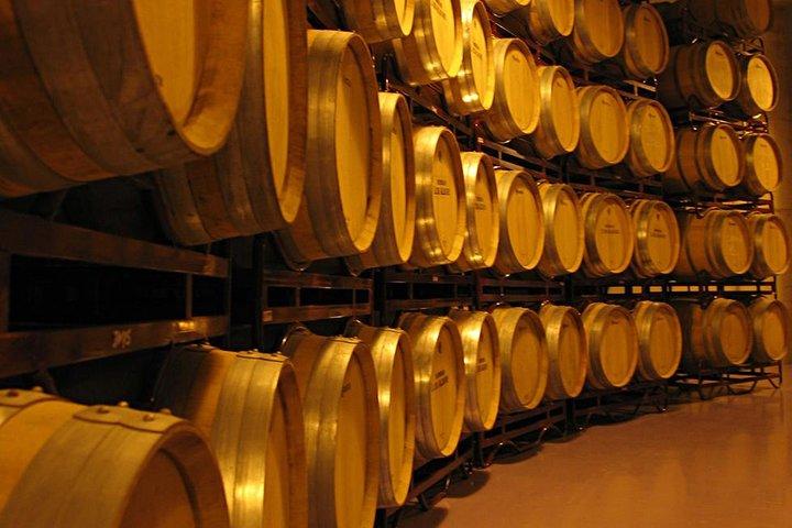 Rioja wine tour: winery and traditional lunch from San Sebastian
