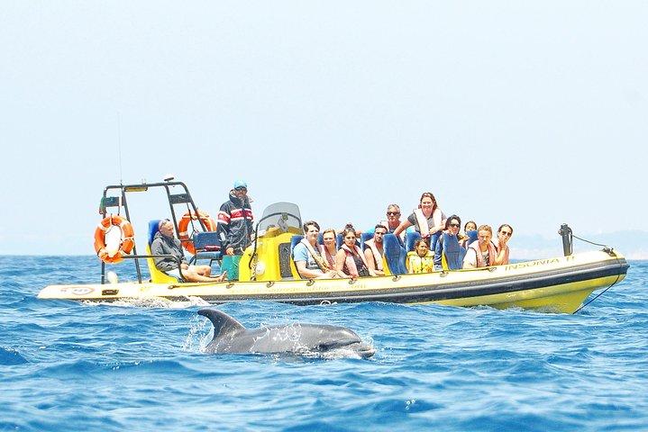 Caves and Dolphin Watching Cruise from Albufeira