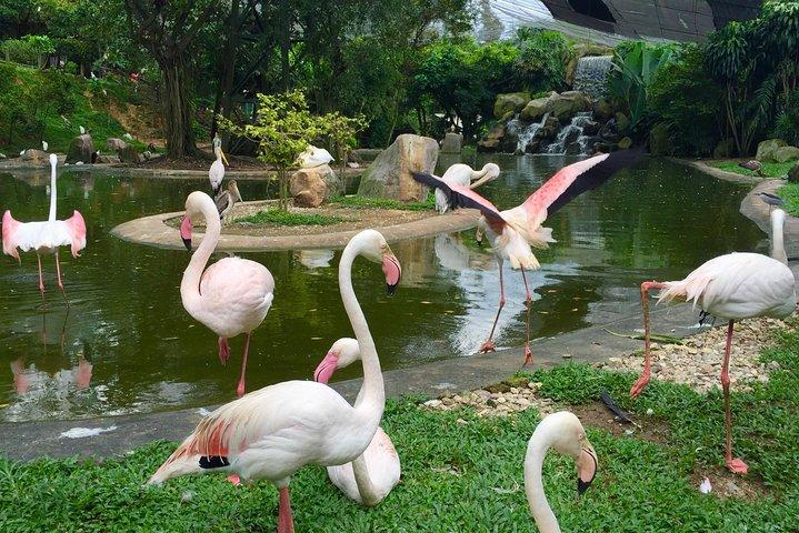 Kuala Lumpur Bird Park Admission Ticket with Private Pickup