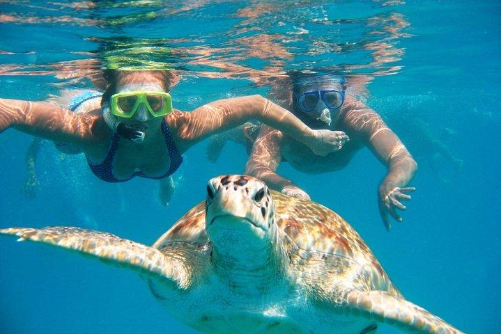 Cairo and Nile Cruise with Marsa Alam 11 Days All inclusive Flights and Hotels